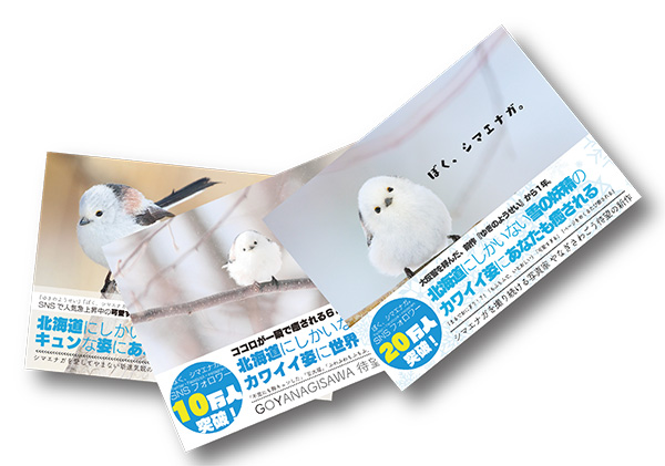 北のかわいい大集合 癒しの小動物フォトギャラリー 京王プラザホテル札幌 公式 北のかわいい大集合 癒しの小動物フォトギャラリー 京王プラザホテル札幌 公式